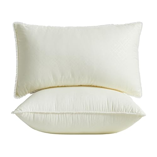 Awvco 2 rembourages coussins 12x20 bord dentelle
