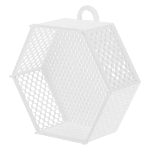 ROMISBABA Wandmontierter Pflanzrahmen für Orchideen und Geweihfarne Kleiner Selbstbewässernder Hängekorb aus Robustem Material für Innen und Außendekoration