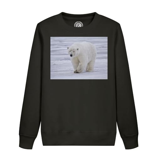 Sweatshirt ours polaire enfant pulls haut de gamme aux finitions durables banquise