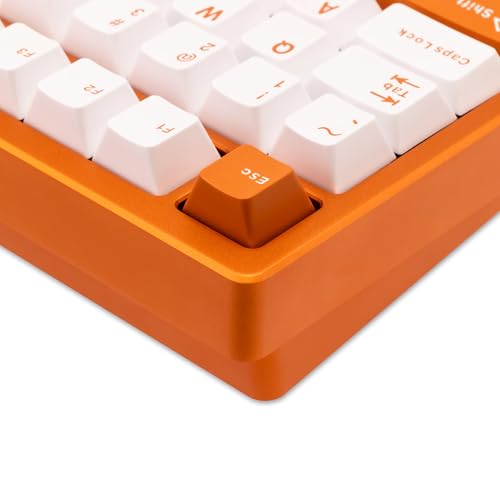 Image of KEEBMONKEY WOBKEY Rainy 75 Aluminum HMX /JWK Switches Mechanical Keyboard with Superior Acoustics, Wired, BT, 2.4G Wireless Connectivity (Pro Orange(Mirrored Glass Weight))