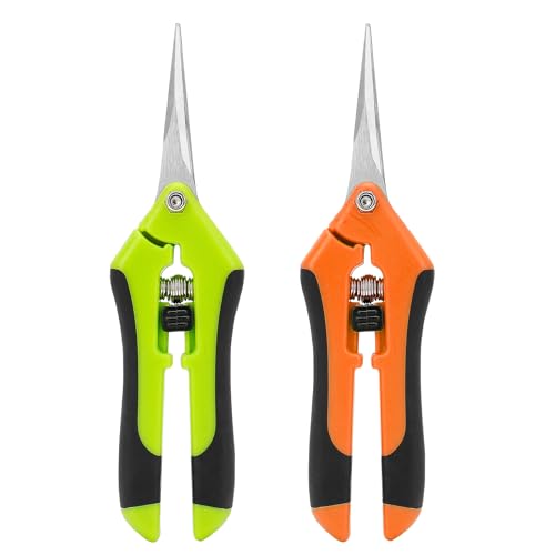 Eachbid Baumschere Edelstahl Gartenschere Gartenschere Manuelle Astschere für Obst Blumen Blumenschere Grow Zubehör (Orange+Grün)