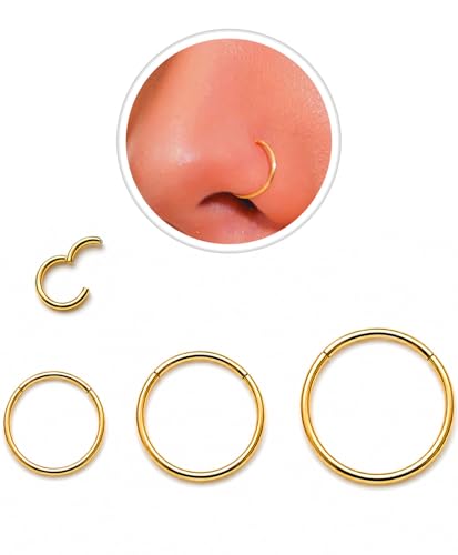 AMASIS 3Pcs 20G Hinged Segment Nose Hoop Rings Stainless Steel Gold Clicker Nose Rings 6mm 8mm 10mm Inner Diameter Size Set for Nostril Septum Cartilage Helix Tragus Piercing Jewelry