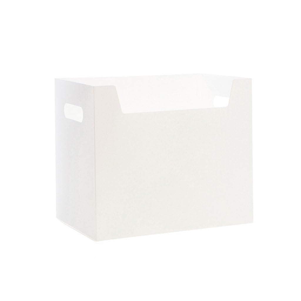 Caja de almacenamiento de libros de escritorio, organizador de carpetas de plástico para papelería de oficina y almacenamiento variado