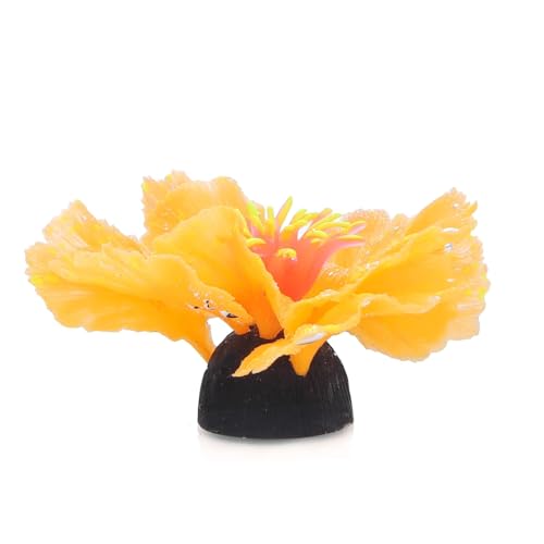 Patapalooza Fluoreszierende Wasserpflanzen: Hohe Helligkeit, Vielzahl von Farben, pflegeleicht, ideal für dekorative Aquarien und Wasserlandschaftsbau.