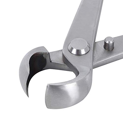Kit de herramientas para bonsái de acero inoxidable 180mm miniatura 5