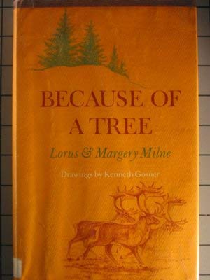 Because of a Tree 0689202806 Book Cover