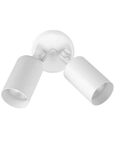 Outdoor Flood Light Fixture - Spot Lights Outdoor Security Light Fixture, Adjustable Double Cylinder Head, 100W, 120V, Weatherproof, Heavy-Duty Aluminum - White Flood Light by NICOR Lighting