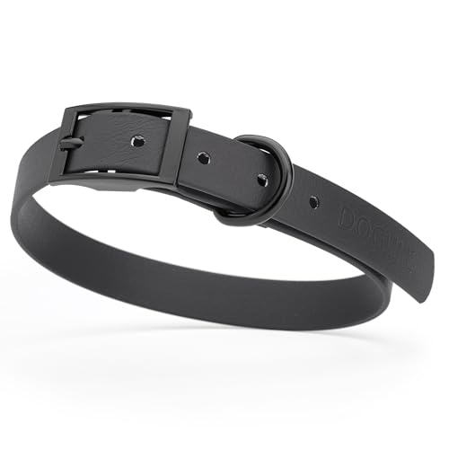 Image of Dogline Biothane Waterproof Dog Collar Strong Coated Nylon Webbing with Black Hardware Odor- Proof for Easy Care Easy to Clean High Performance Fits Small Medium or Large Dogs, Black