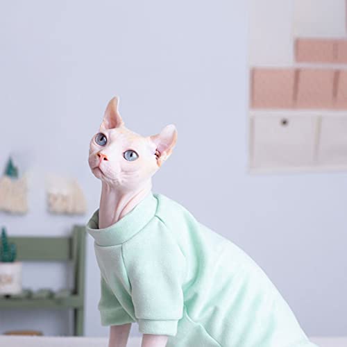 Suéteres de gato sem pelos apenas para gatos camisa de camurça roxa quente outono inverno cor sólida
