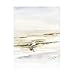 Trademark Fine Art, 35x47 Coastal Gull I by Victoria Borges, Multiple