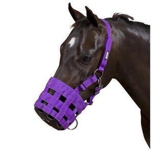 ToggiHY Nylon Muzzle - Purple