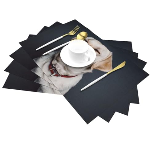 Set de table labrador lavable pour embellir vos déjeuners en terrasse