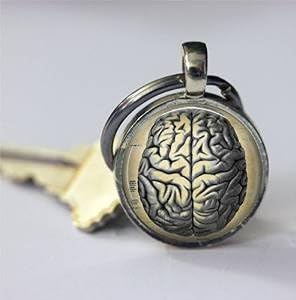 Brain Keychain Human Anatomy Medical Science Phrenology Key Chain Key Fob Car Accessories
