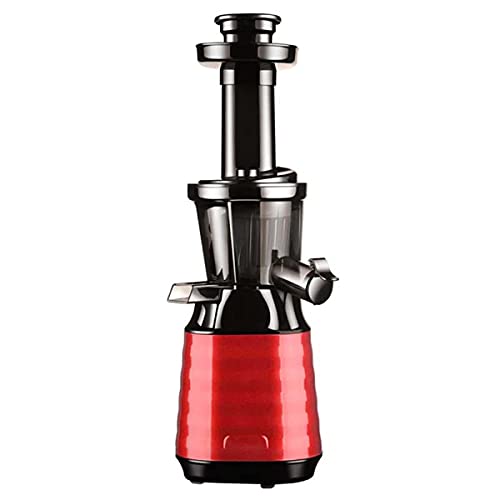 ERoomQ Slow Juicer Masticating Juicer Machine, Mini Slow Juicer, Screw Cold Press, Patent-Free Technology, Electric Fruit and Vegetable Juicer