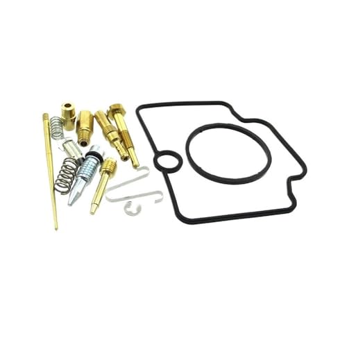 Kit carburateur PE28 pour réparer une fuite d'essence
