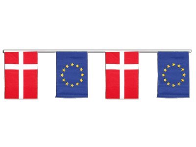 Guirlande amitié Danemark UE Digni décoration de salle pour réception officielle