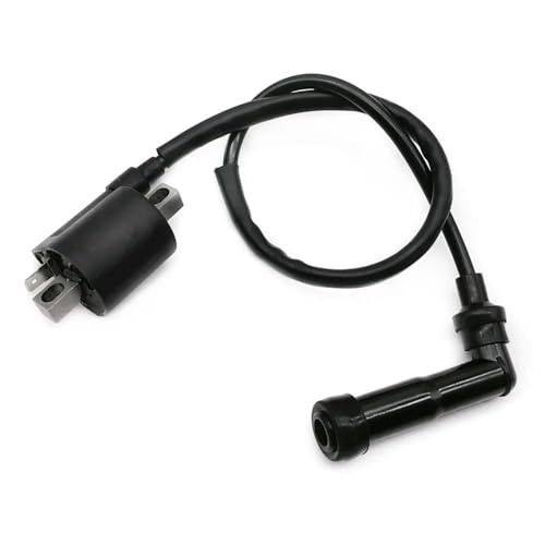 Bobine d'allumage Warrior 350 YFM350 ATV rechange électricité quad 1989-2004