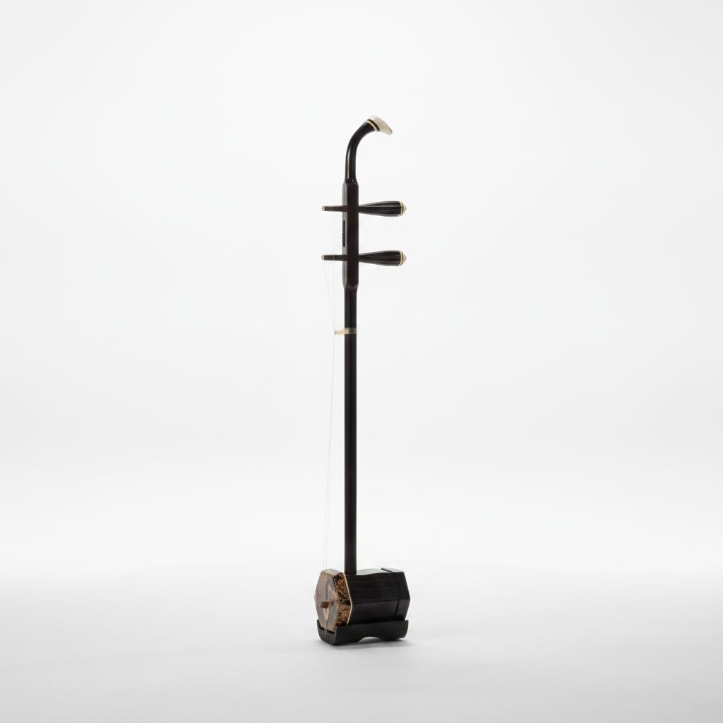 Chinese Hexagonal Instrumento Musical, Piel Serpiente, Erhu Principiante, sarrollo Habilidas, Para Compositores, Profesional, clásico negro