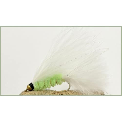 6 Pack of Goldhead Cats Whisker Trout Flies, Choice (Mixed)