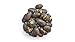 Yupik Black Soya Beans Dry, Roasted & Unsalted, 2.2 lb, Gluten-Free, Vegan & High Protein Snack, Crunchy Nutty Flavor, Perfect for Toppings & On-the-Go Snacking