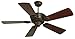 Craftmade Lighting K10658 Chaparral - 52" Ceiling Fan, Aged Bronze Finish with Distressed Walnut Blade Finish with Tea-Stained Glass