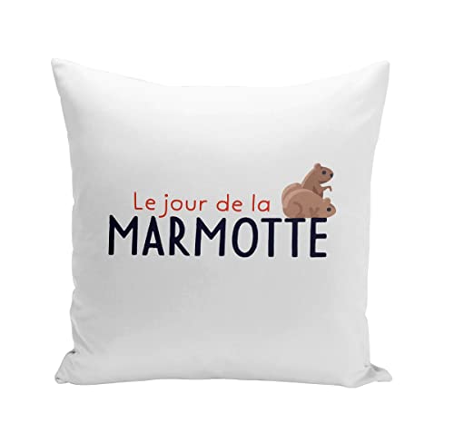 Fabulous Coussin 40x40 cm Le Jour de la Marmotte Sieste Humour