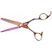 Olivia Garden Forbici per sfoltimento SilkCut Edizione Acrobaleno, Europee, Misura 6', 35 Denti, Per Mancini - Potenti Lame convesse , Lavorate a mano con la miglior qualità di acciaio giapponese immagine