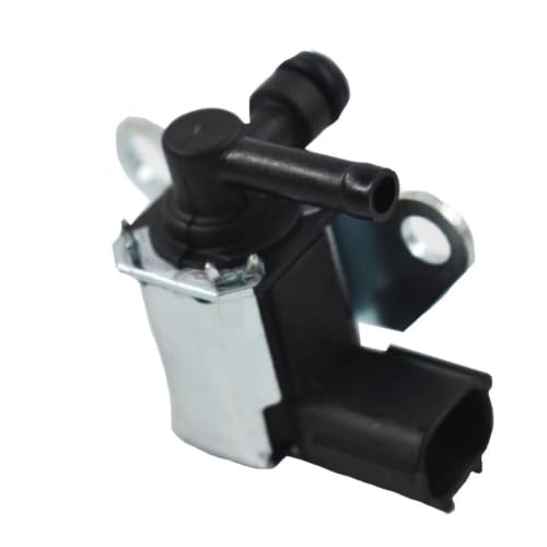 Válvula de control de purga Nissan Cube para solucionar fallo de motor EVAP 3