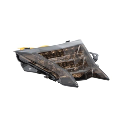 Feux arrière à LED et clignotants de route pour sorties moto BMW S1000R