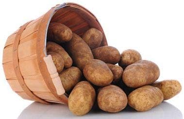 Simply Seed™ - Russet Burbanks - Naturally Grown Seed Potatoes - 5 LBS - Whole Potatoes- American Raised