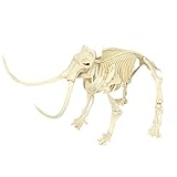 ✄Für Kinder geeignet: Mit einem Ausgrabungsstein mit Dinosaurierfossilien, einem Hammer, einem Meißel und einer Bürste können sich Kinder mit dem Dinosaurier-Ausgrabungsset wie echte Paläontologen fühlen und alles aus dem fossilen Dinosaurierskelett ausgraben.