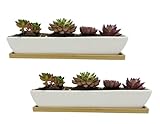 Kipokalor White Succulent Planter Pot,2 Set 11.1x2.36x1.77inch Long Rectangular Modern Minimalist Ceramic with Saucer for Office,Desk,Window.