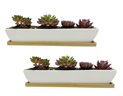 Kipokalor Rectangular Succulent Planter Pot,Two Set of 11.1x2.36x1.77inch Long Rectangular Modern Minimalist White Ceramic with Saucer for Office,Desk,Window. (Bamboo Saucer, Two Set)