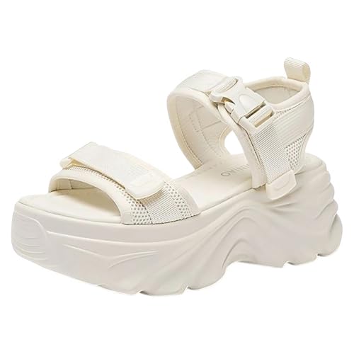 [QJCLEAN] T_  fB[X RtH[gT_ ^N\[ O Xgbv \ 炩 ₷ ɂȂ y r Vv  U JWA s r[` 5cm t  H (zCg, {̌C̃T