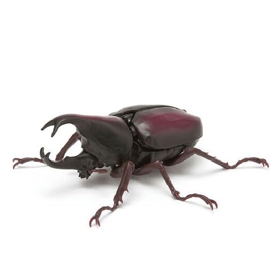 Amazon.co.jp: ヒメカブト 赤褐色 いきもの大図鑑 かぶとむし 03 昆虫