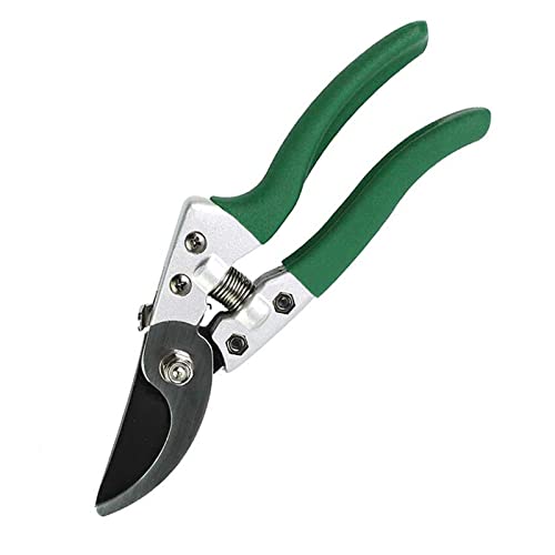 Cesoie da giardino Forbici per bonsai Cesoie per potatura Cesoie per alberi da frutto Cesoie per rose Bonsai Forbici da giardinaggio Attrezzi per innesto Attrezzi da giardinaggio