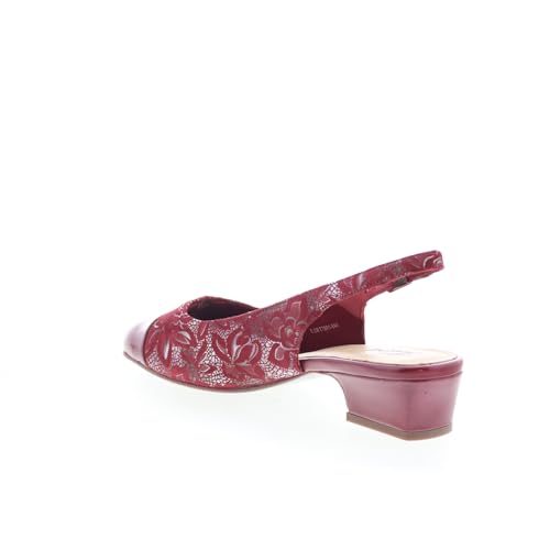 Image of Trotters