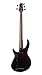 Cort Artisan Series B5 Element 5-String Bass Guitar, Open Pore Transparent Black