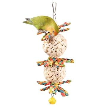 Bird Toys for Cockatiels That Like Corn Husks: Surprising Finds You Need! 2 bird toys for cockatiels that like corn husks
