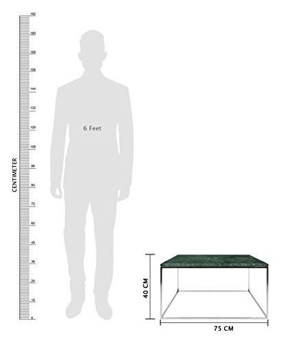 Image of APRODZ Stainless Steel Perlite Square Granite Top Coffee Table for Living Room | Center Table for Home | Green Granite