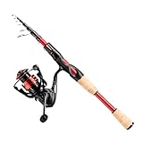 EOW XPEDITE LITE Portable Telescopic Fishing Rods & Combo, Spinning & Casting Fishing Poles, 24T Carbon Rod Blanks, Solid Carbon Tip, Split Cork Grips, Travel Rod, Combos with 5+1BB Spinning Reel