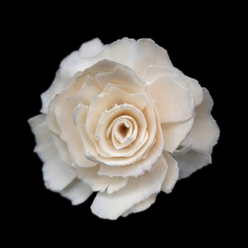 6 piezas Difusores de aroma en flores naturales para hogar miniatura 3