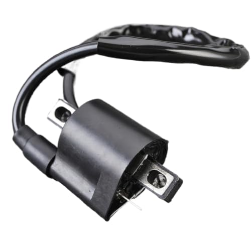 Bobine d'allumage pour moto TT250 RT100 XVS650AT Silverado