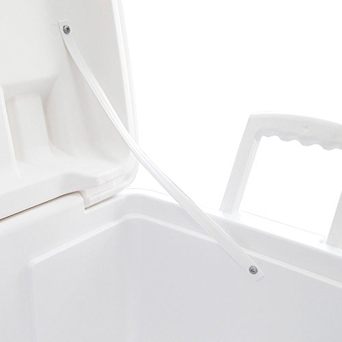 Igloo Caixa Térmica Island Breeze, 45 litros