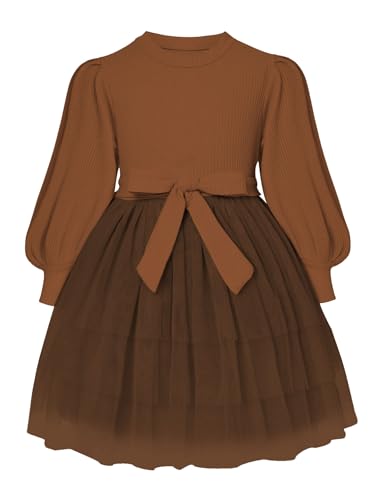 Toddler Girl Tulle Dress Puff Long Sleeves Tutu Dresses with Tie Belt for Princess Brithday Party 1-6T