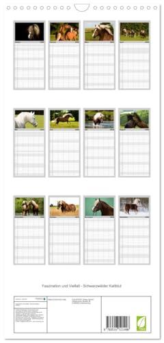 Familienplaner 2026 - Faszination und Vielfalt - Schwarzwälder Kaltblut mit 5 Spalten (Wandkalender, 21 cm x 45 cm), CALVENDO: Kraftvoll, elegant, ... Pferd durch das Jahr (CALVENDO Tiere)
