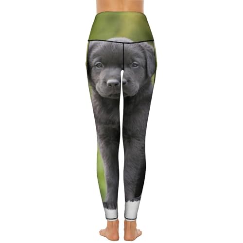 Legging sport taille haute femmes contre les irritations pantalon gym S