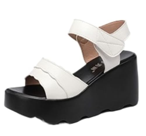 [kzzkoo] T_ fB[X  EFbW\[ RtH[gT_ 傫TCY TCY q[8 cm Sn悢 ₷ h  C r   l 񂾂 (zCg,21.5 cm)