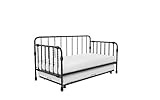 Little Seeds Monarch Hill Wren Metal Daybed with Trundle, Sofa Bed, Twin Size Frame, Black