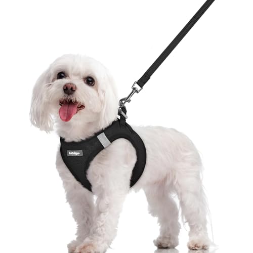 rabbitgoo Step-In Harness & Leash Set (Black, M)
